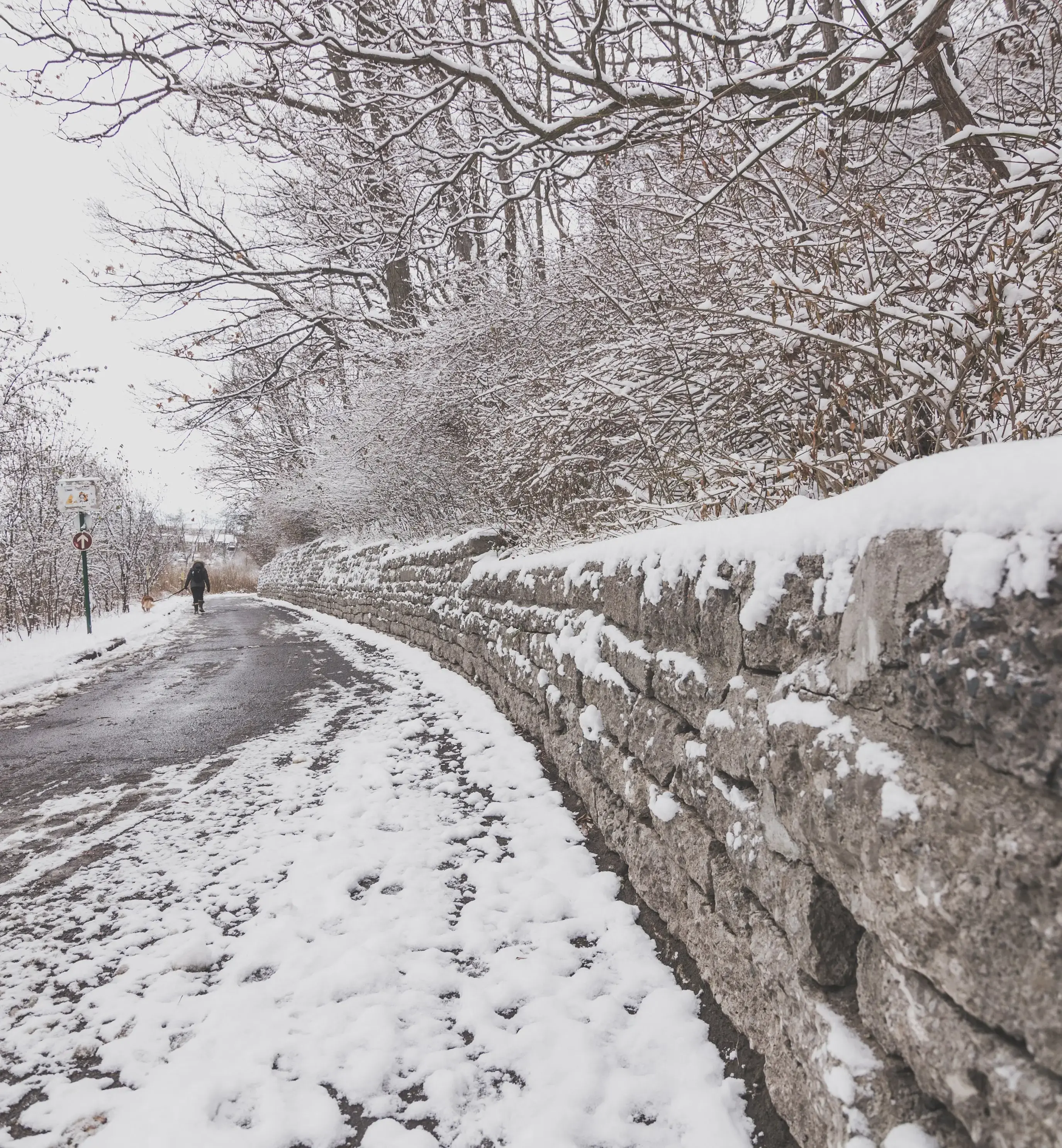 Slipping on Ice Can I Make a Claim? Smith Partnership